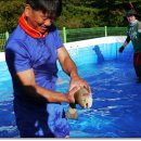 신바람 하모니카 | 홍천 가볼만한곳/오감 만족하는 체험마을