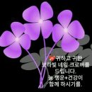 큰입작은입