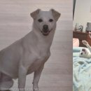 우림농장(제2농장) 이미지