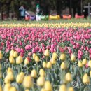 박지호농장 이미지