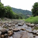 별천지야영장 이미지