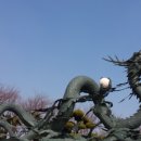 신명카서비스 이미지