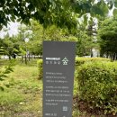 포트럭 | 망원한강공원 비건 포트럭 후기 비플 회원들과 함께한 특별한 한강 피크닉