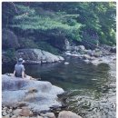 아름다운 하동 강숲별 그리고 바다 | 지리산 10경, 하늘과 숲과 시간의 노래 ― 천년의 산이 들려주는 열 가지 풍경
