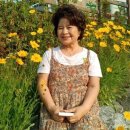 보름달PC 이미지