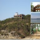 안뜰거북이마을 이미지