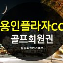 한화호텔앤드리조트(주)용인 이미지