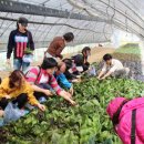 만지원농장 이미지