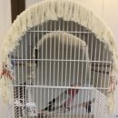 달펫 소동물샵 이미지