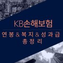 (주)케이비손해보험