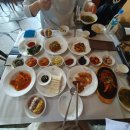 [합천] 벚꽃 핀 합천 / 합천호관광농원 / 합천영상테마파크 후기