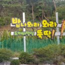 강천마을 이미지