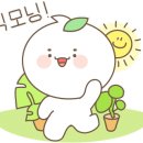 더스테이205 이미지