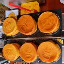 베트남 하노이에서 슬리핑 버스를 타고 사파로 갑니다 이미지