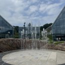 마쥬 산드로 원피스 추천 롯데프리미엄아울렛의왕 아이디룩몰 아울렛 세일정보 구매후기