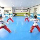 국가대표 용인대 비룡태권도장 이미지