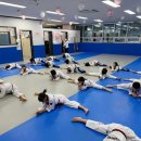 한국체대 제이오름 태권도 이미지