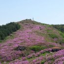 장수의 땅 그리고 이미지