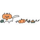 미룡주공2단지 이미지