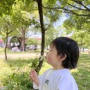 ootd(오브마이온, 보나츠, 아프리콧스튜디오, 미니모먼츠, 드타미프로젝트, 더노브, 몬제, 베베드피노)_1탄