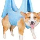 털찐강아지 이미지