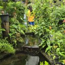 나비농장 이미지