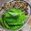 보산숯불장작구이 이미지