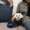 디벨로핑룸 이미지