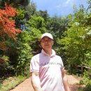 따듯한오후 낮잠소리 이미지