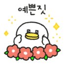 조이재 이미지