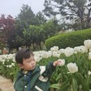 4월 봄소풍 - 김해연지공원 이미지