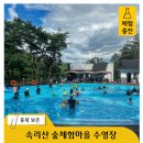 속리산 숲체험휴양마을 | 속리산 숲체험휴양마을 수영장에서 즐기는 여름 충전여행