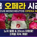 부용가든 이미지