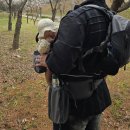 조이미션 | 미션크리티컬 아빠아기띠, 빅사이즈 아빠전용 캠핑용 아기띠 + 악세사리 5종 풀세트 후기