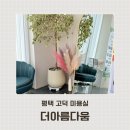더아름다움 네이버블로그