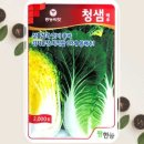 청샘