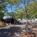 금성파크 이미지