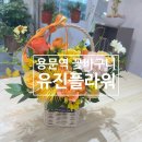 유진플라워 - 서초구 강남대로 27 | 대전 용문역근처 꽃다발 꽃바구니 유진플라워 솔직후기