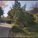 대조리마을회관 이미지