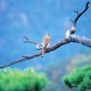 2공단공원 이미지