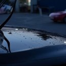 스타세차천국 이미지