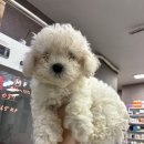 대성빌라 D동 이미지