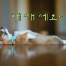 카페명륜 이미지