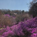 경진사
