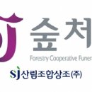 상조상회
