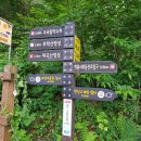 완월동222 이미지