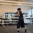 드래곤복싱체육관 이미지