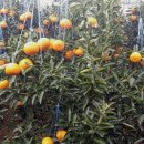 진표농장 이미지