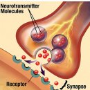 (2009-2)신경전달물질 _ 신경 정보 전달의 주역 이미지