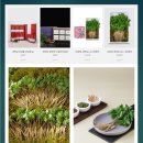 삼단지농장 이미지